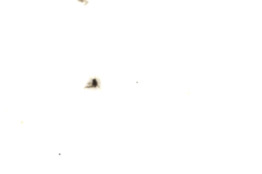 Image 109
